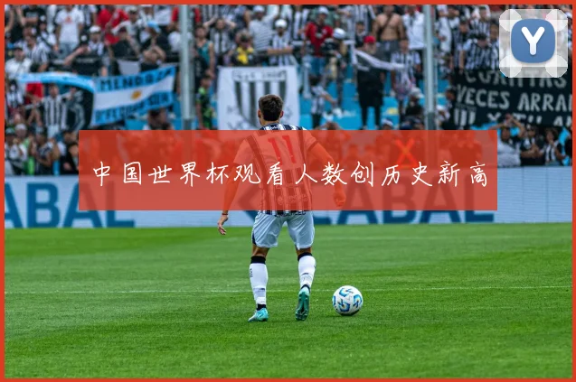中国世界杯观看人数创历史新高