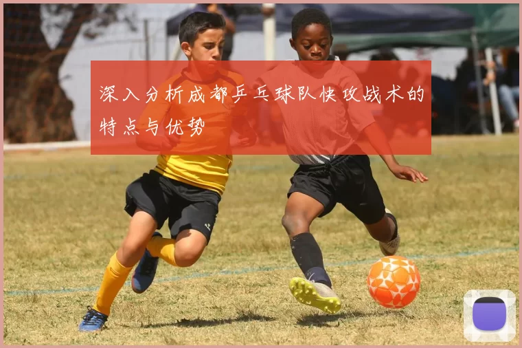 深入分析成都乒乓球队快攻战术的特点与优势