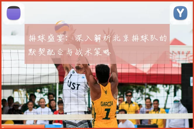 排球盛宴：深入解析北京排球队的默契配合与战术策略