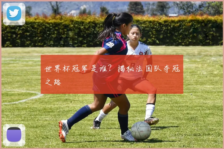 世界杯冠军是谁?揭秘法国队夺冠之路