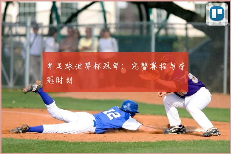 年足球世界杯冠军:完整赛程与夺冠时刻