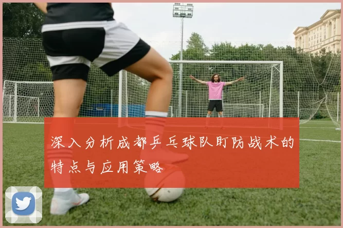 深入分析成都乒乓球队盯防战术的特点与应用策略