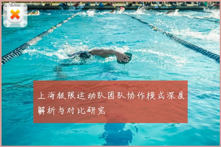 上海极限运动队团队协作模式深度解析与对比研究
