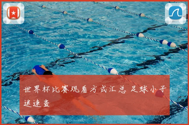 世界杯比赛观看方式汇总 足球小子迷速查