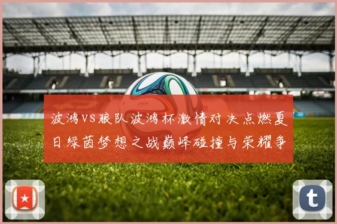 波鸿vs狼队波鸿杯激情对决点燃夏日绿茵梦想之战巅峰碰撞与荣耀争锋