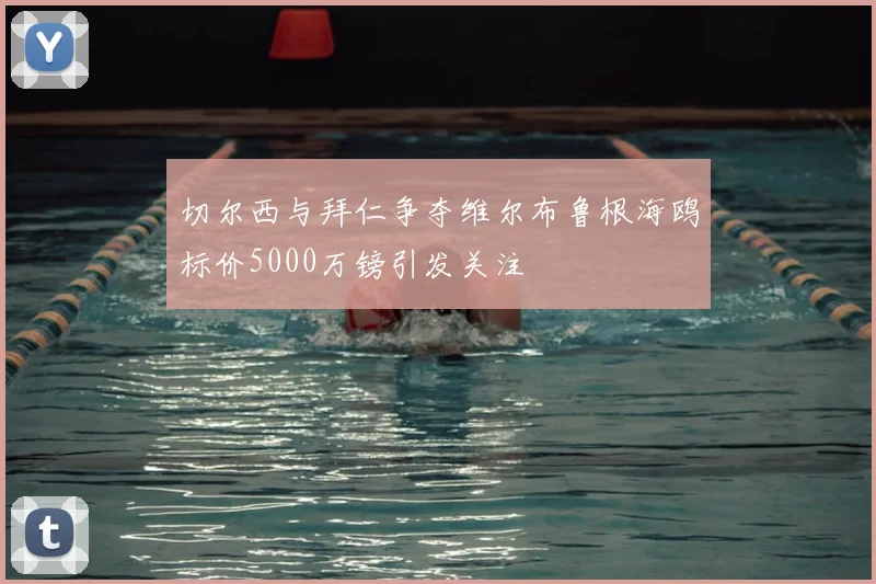 切尔西与拜仁争夺维尔布鲁根海鸥标价5000万镑引发关注