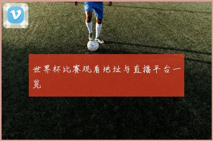 世界杯比赛观看地址与直播平台一览
