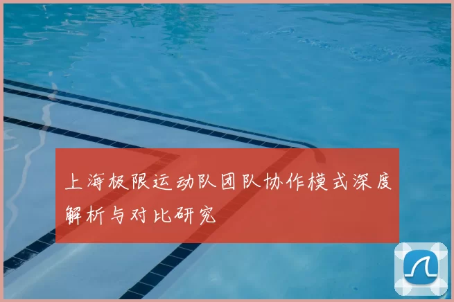 上海极限运动队团队协作模式深度解析与对比研究