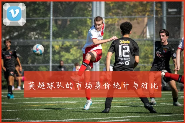 英超球队的市场身价统计与对比