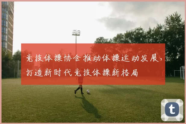 竞技体操协会推动体操运动发展，打造新时代竞技体操新格局