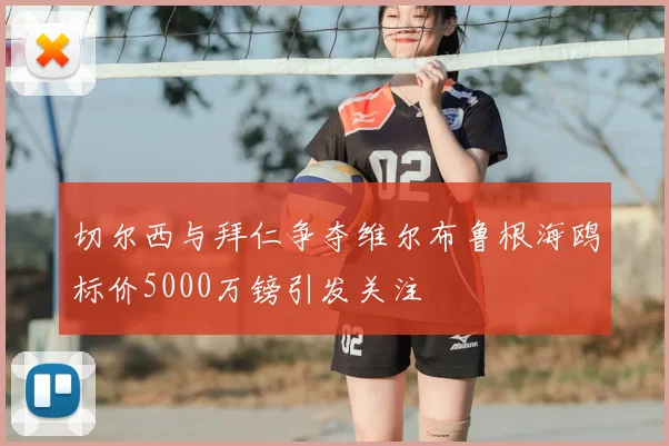 切尔西与拜仁争夺维尔布鲁根海鸥标价5000万镑引发关注