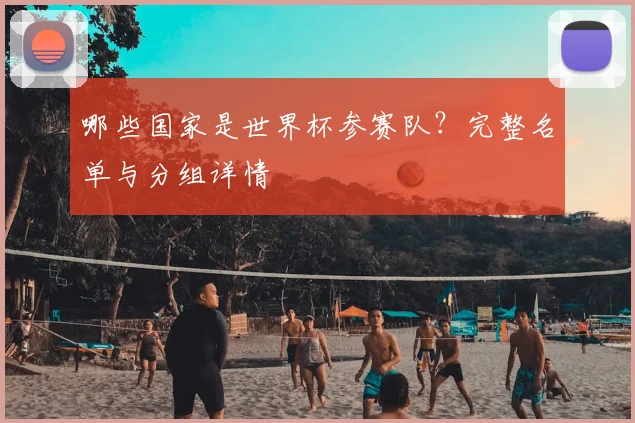 哪些国家是世界杯参赛队?完整名单与分组详情